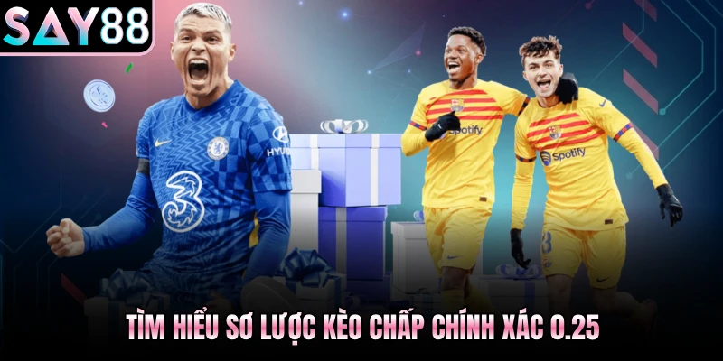 Tìm hiểu sơ lược kèo chấp chính xác 0.25